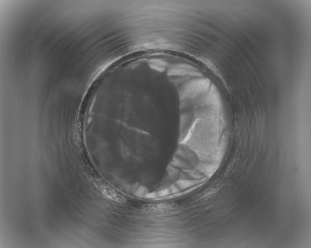 X0000066120879200603311533