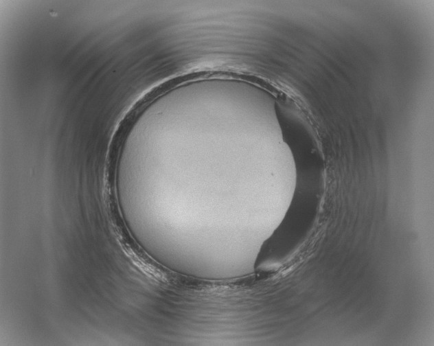 X0000066120880200603311533