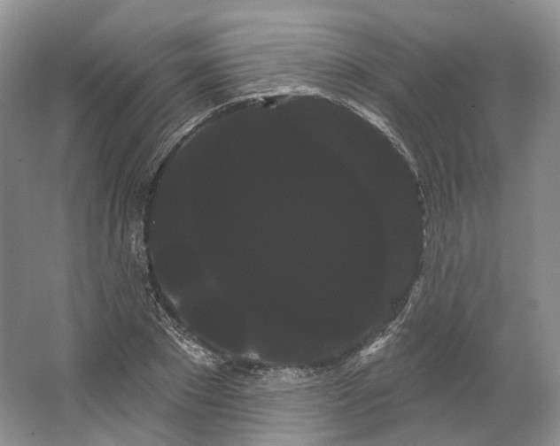 X0000066120881200603311533