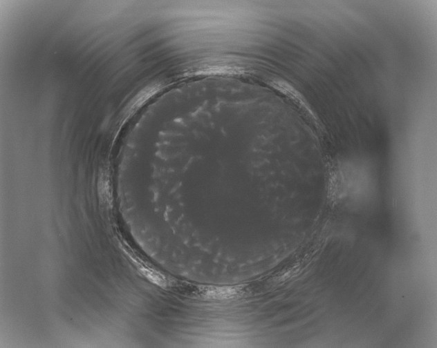 X0000066120882200603311533