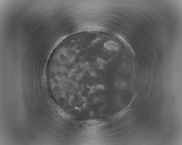 X0000066120883200603311533