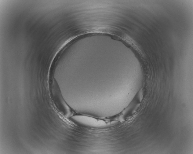 X0000066120884200603311533