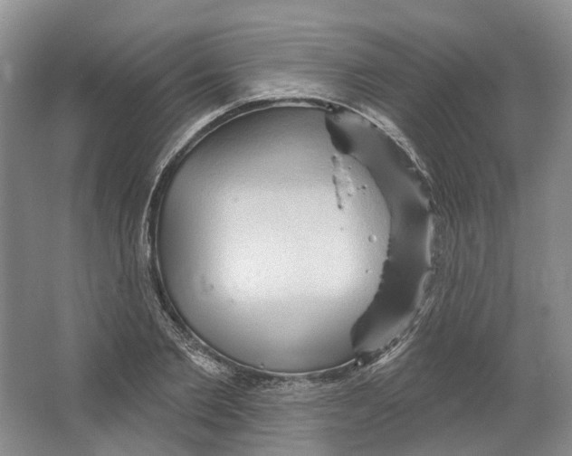 X0000066120885200603311533