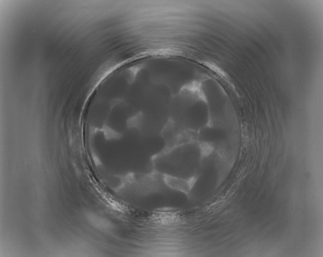 X0000066120886200603311533