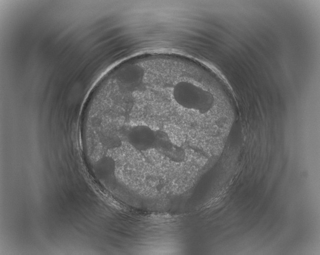 X0000066120887200603311533