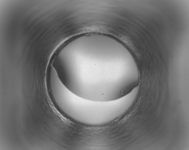 X0000066120888200603311533