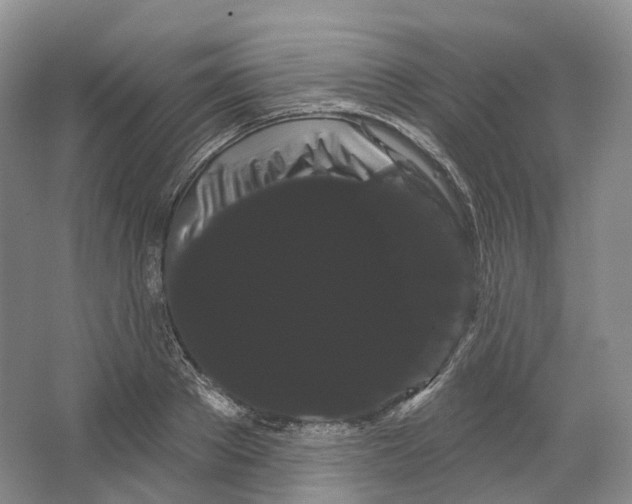 X0000066120889200603311533