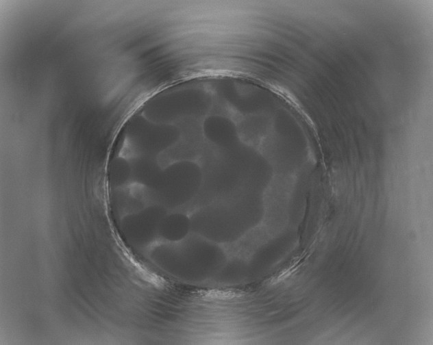 X0000066120890200603311533