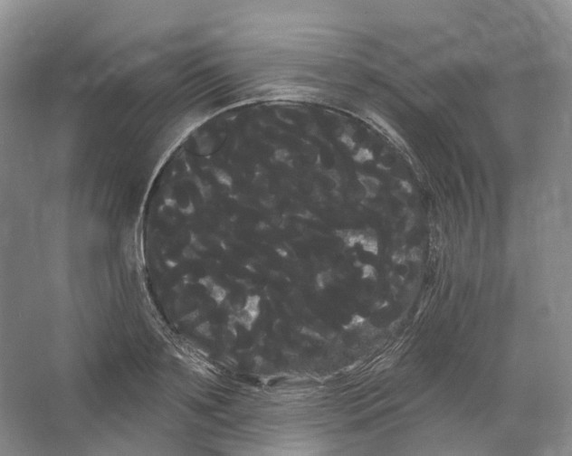 X0000066120891200603311533