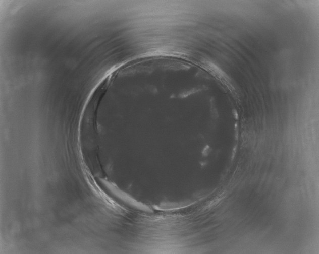 X0000066120892200603311533