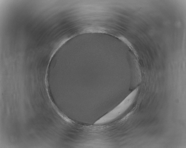 X0000066120893200603311533