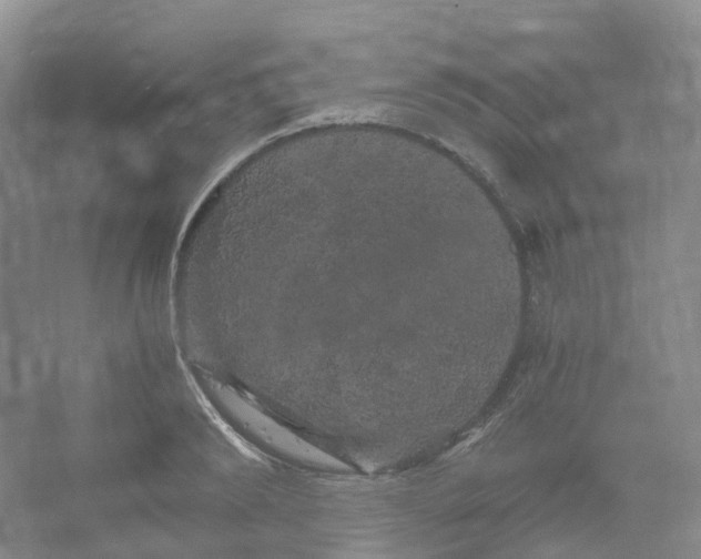 X0000066120894200603311533