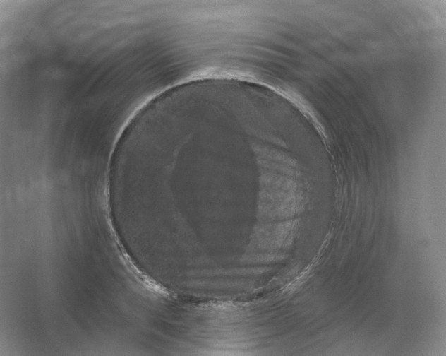 X0000066120896200603311532