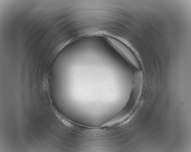 X0000066120897200603311532