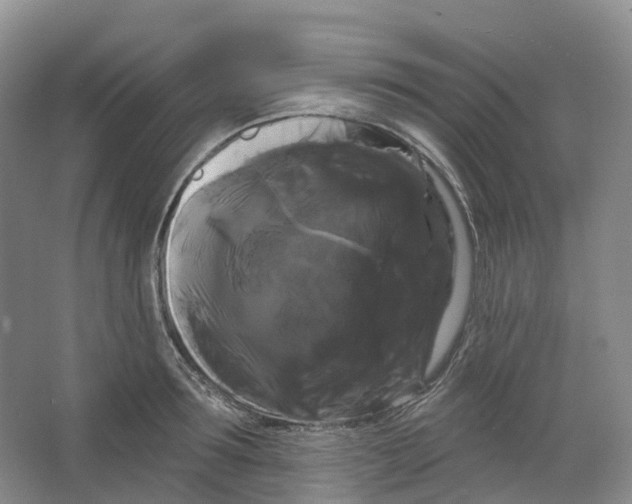 X0000066120899200603311532