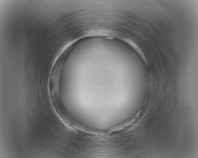 X0000066120901200603311532