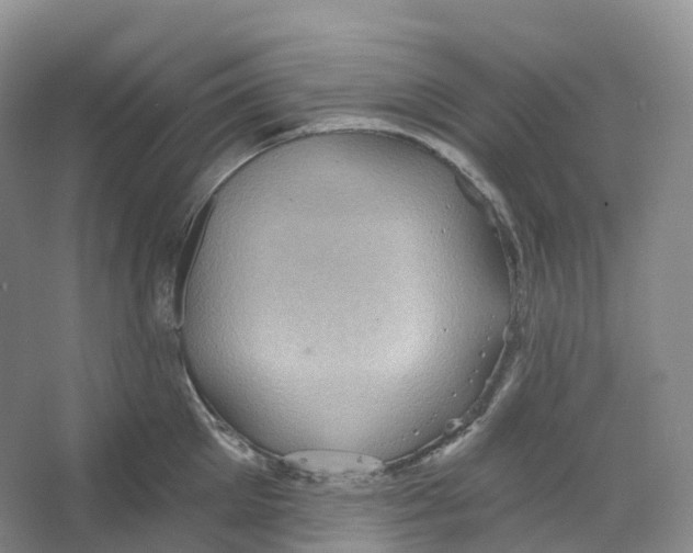 X0000066120905200603311532