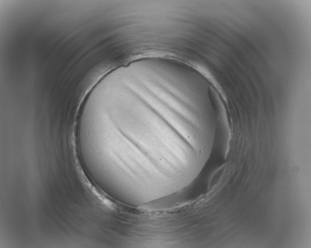 X0000066120906200603311532