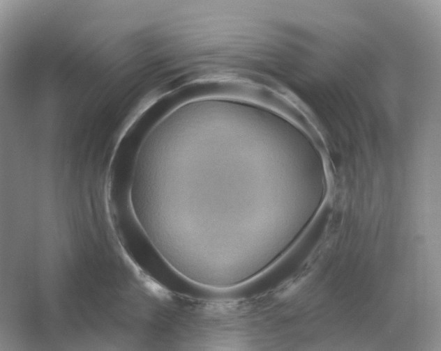 X0000066120909200603311532