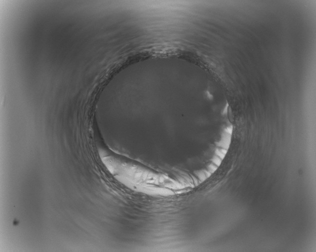 X0000066120913200603311531