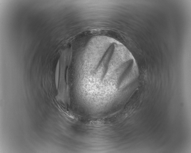 X0000066120914200603311531