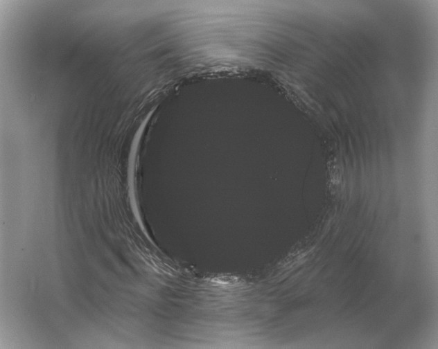 X0000066120916200603311531