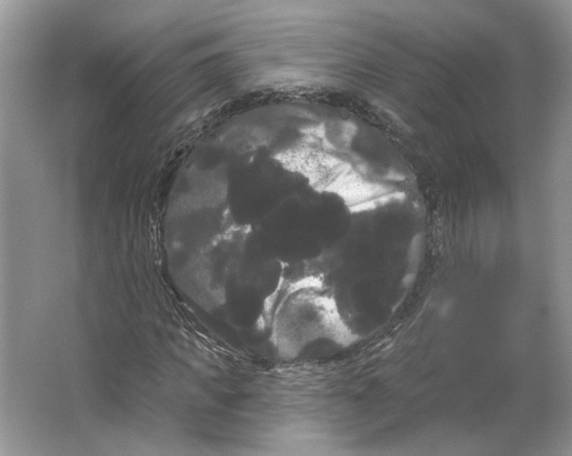 X0000066120917200603311531