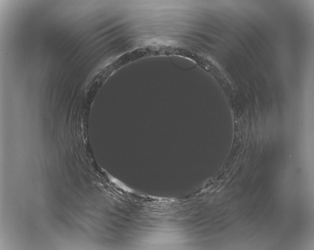 X0000066120919200603311531