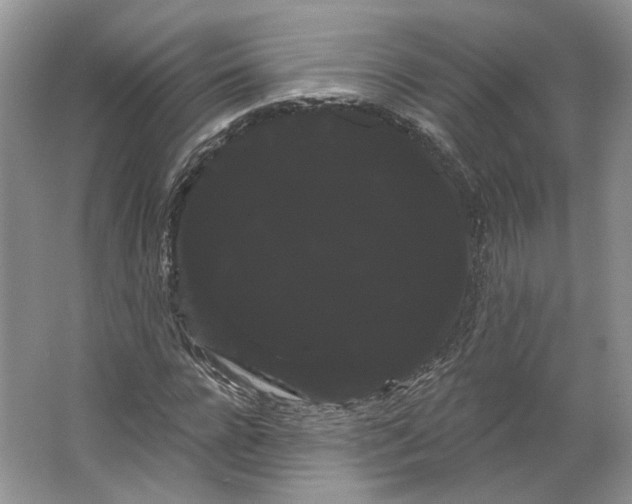 X0000066120920200603311531