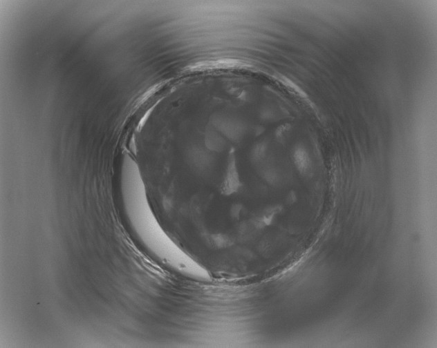 X0000066120921200603311532