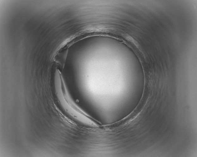 X0000066120922200603311532