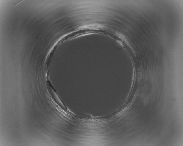 X0000066120923200603311532