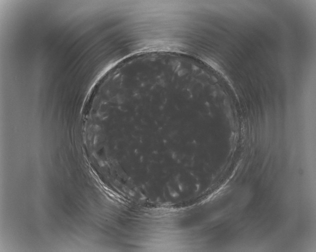 X0000066120925200603311532