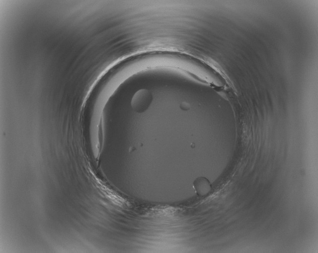 X0000066120926200603311532