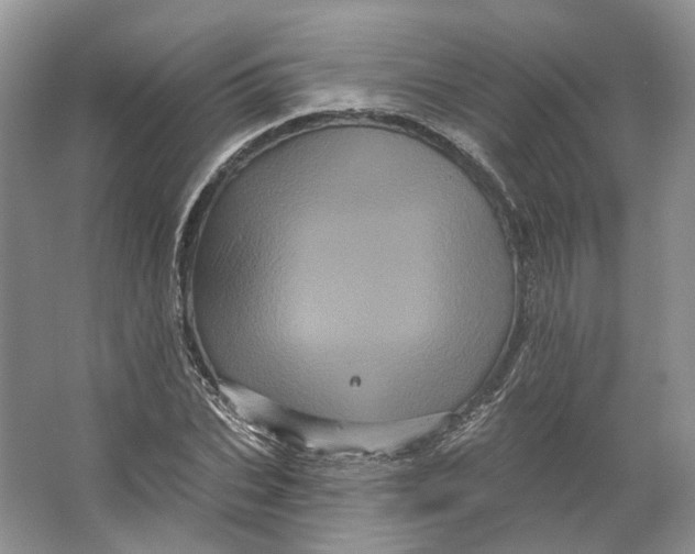 X0000066120927200603311532