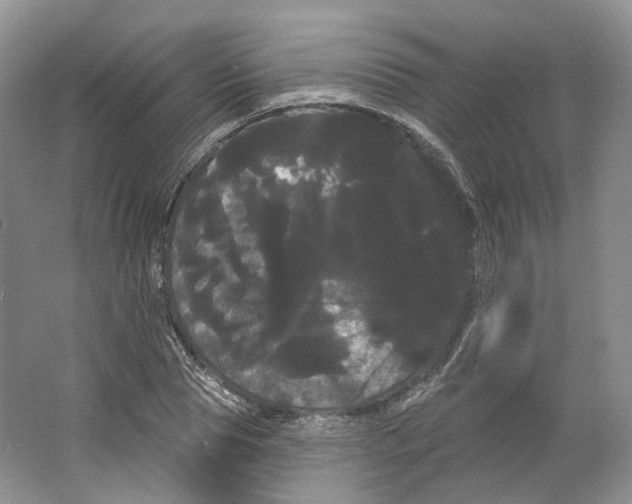 X0000066120929200603311532