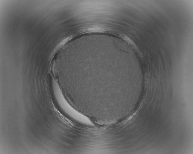 X0000066120930200603311532