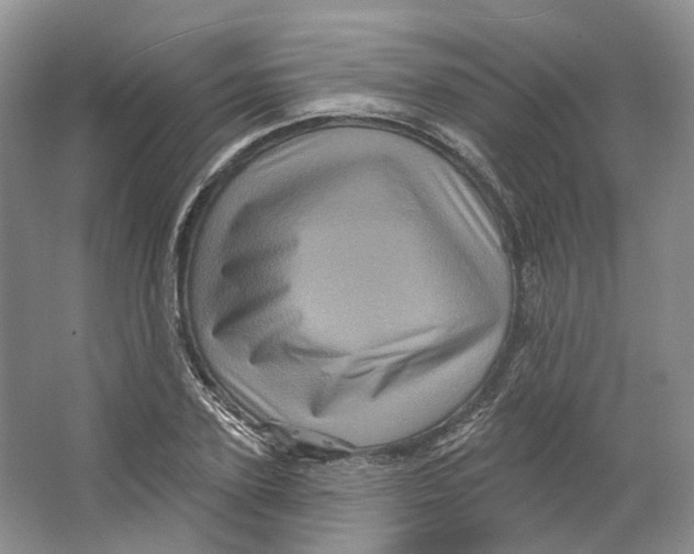 X0000066120931200603311532