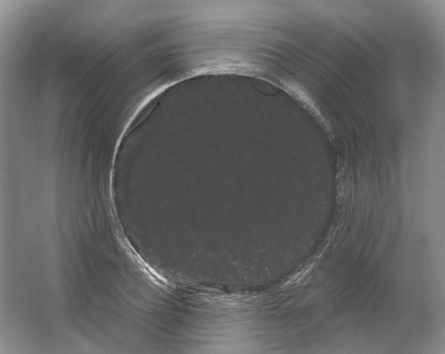 X0000066120932200603311532