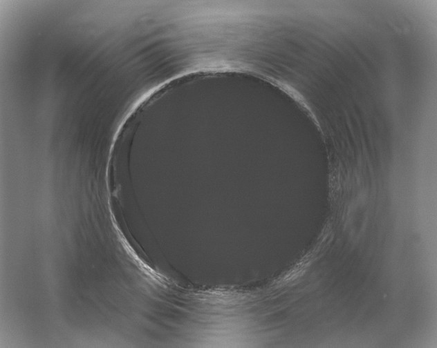 X0000066120935200603311532