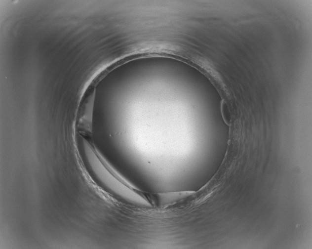 X0000066120936200603311532