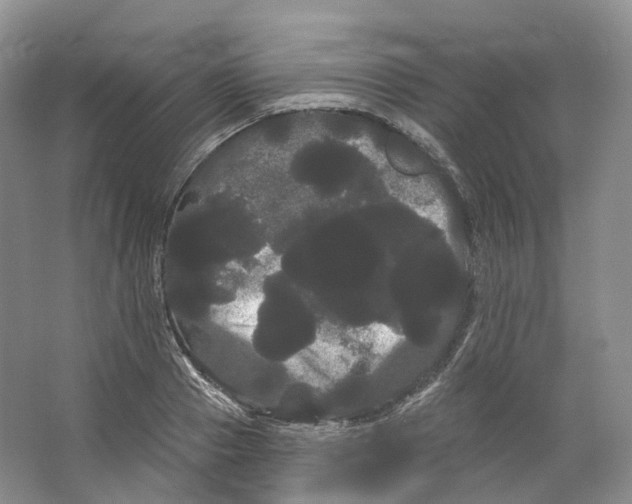 X0000066120937200603311532