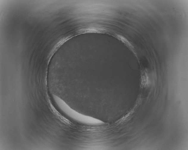 X0000066120938200603311532