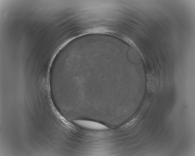 X0000066120939200603311532