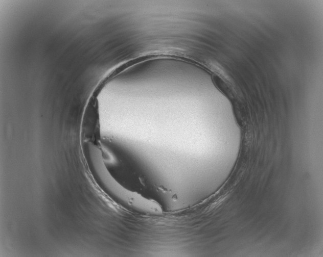 X0000066120940200603311532