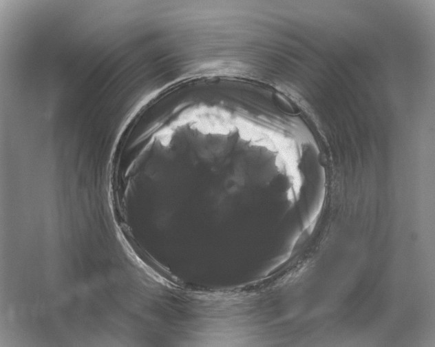 X0000066120941200603311532