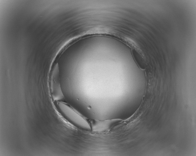 X0000066120942200603311532