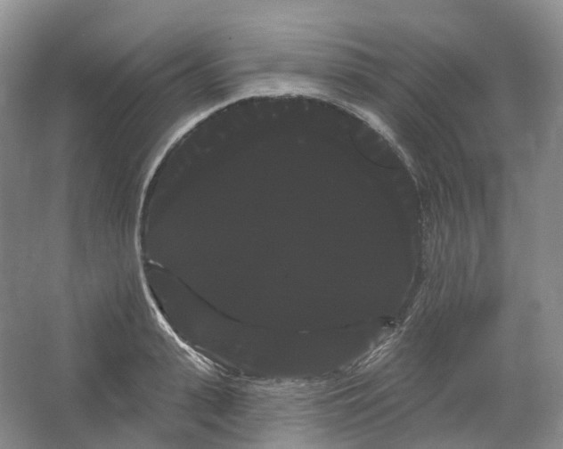 X0000066120943200603311532