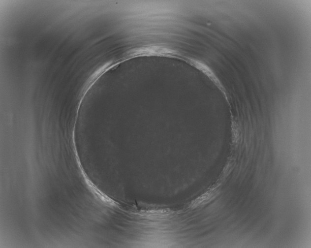 X0000066120946200603311532