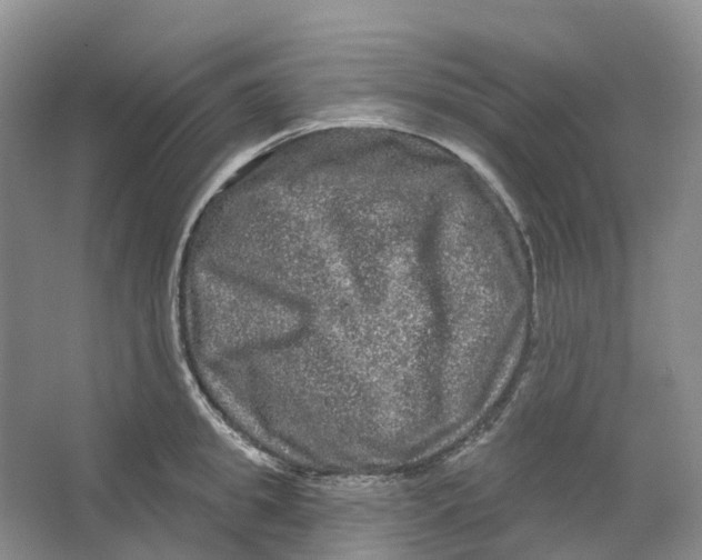 X0000066120949200603311532